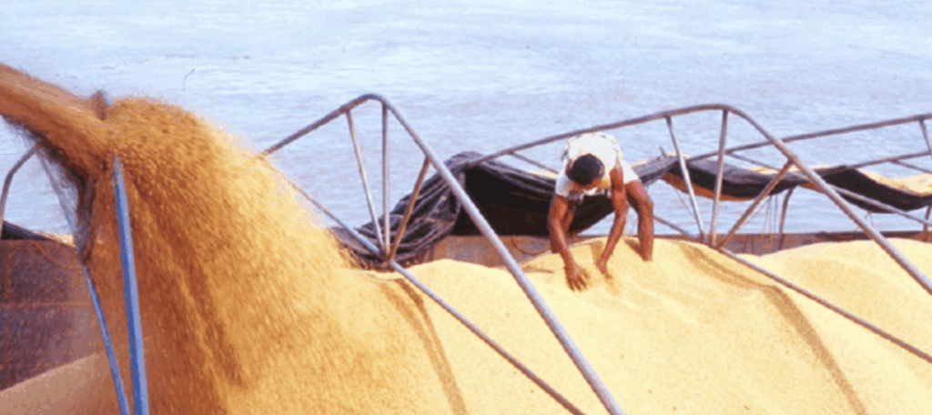 Rotas amazônicas são destaque na movimentação de grãos em 2025.