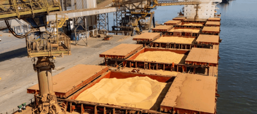 Soja lidera exportações pelos portos do Paraná em 2025
